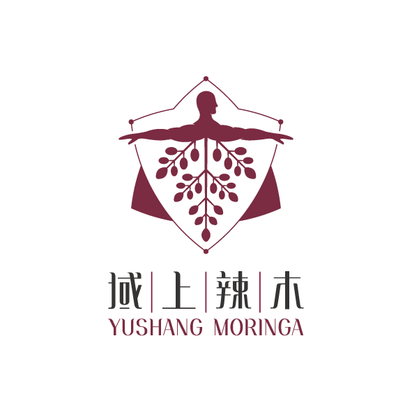 LOGO案例-58（麗江域上辣木包裝設計）.png