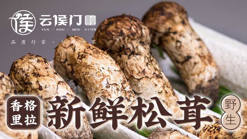 又是一年鬆茸季——上維雲南野（yě）生菌品牌形象案例